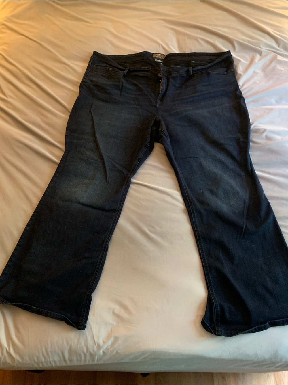 torrid Dark Blue Flare Jeans